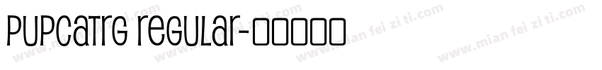 PupcatRg Regular字体转换